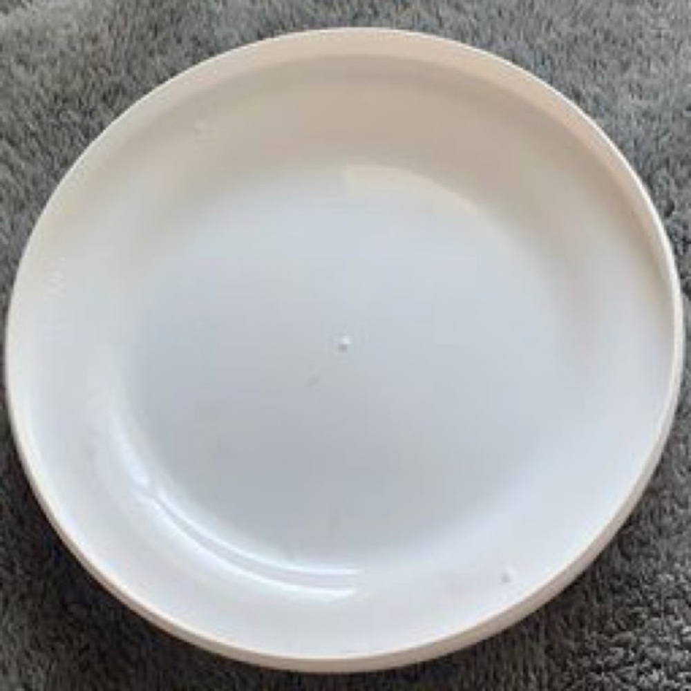 In-N-Out Frisbee 🍔 - Picture 2 of 2